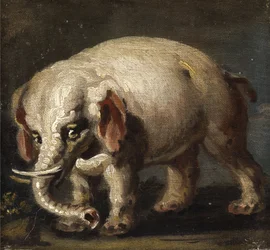 Elefant
